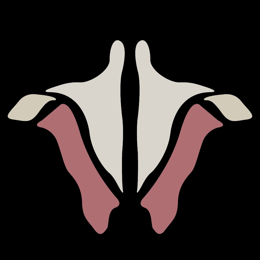 Institute of Human Anatomy